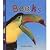 Beaks