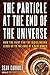 The Particle at the End of the Universe: How the Hunt for the Higgs Boson Leads Us to the Edge of a New World