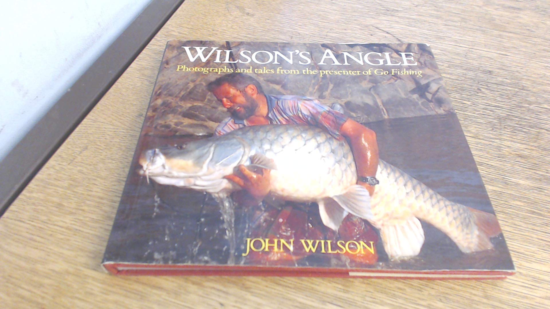 Wilson's Angle (Hardcover)