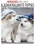 Alaskan Malamute Puppies Calendar 2024 -2025 by Seth Bauer
