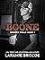 Boone (Broken Falls #1) by Laramie Briscoe