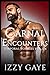 Carnal Encounters: M/M Spic...