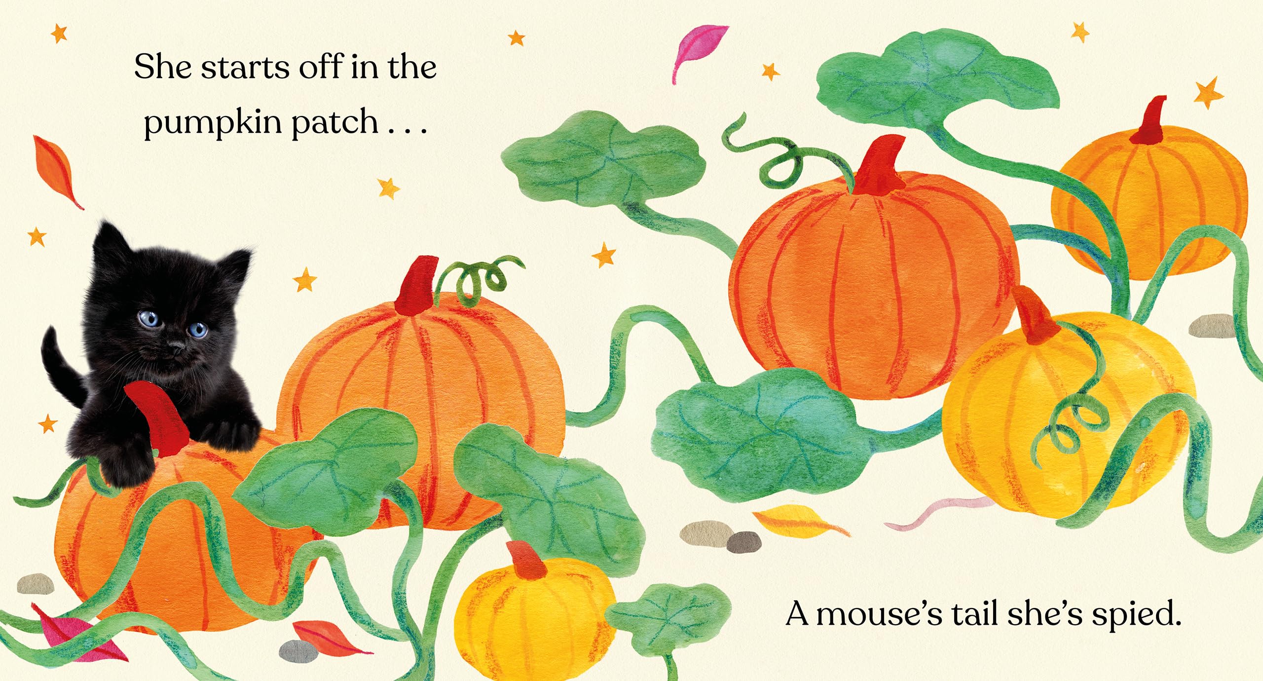 Happy Halloween, Little Black Cat: A Board Book (Baby Animal Tales)