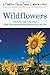 Wildflowers: A Fully Illustrated, Authoritative and Easy-to-Use Guide (A Golden Guide from St. Martin's Press) by Alexander C. Martin Herbert S. Zim(2001-04-14)