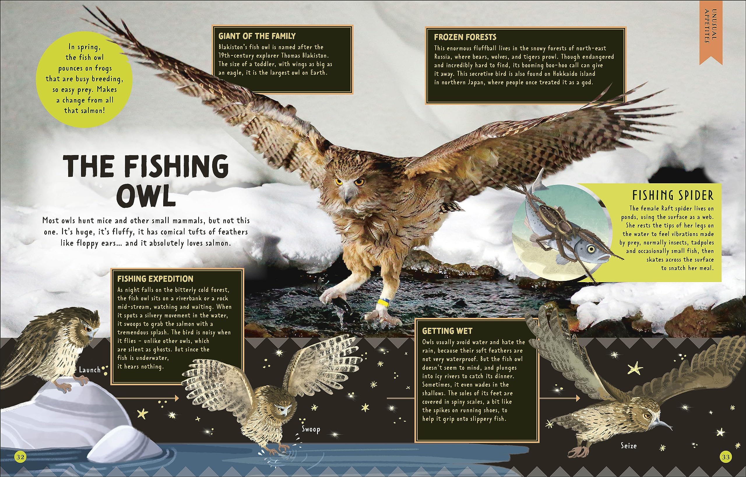 Odd Animals Out: More than 75 Animals that Break the Rules (Wonders of Wildlife)