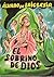 El sobrino de Dios: Novelas (Autores españoles e hispanoamericanos) (Spanish Edition)