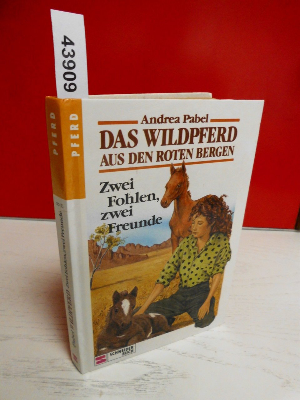 Zwei Fohlen, zwei Freunde (Das Wildpferd aus den roten Bergen, #7)