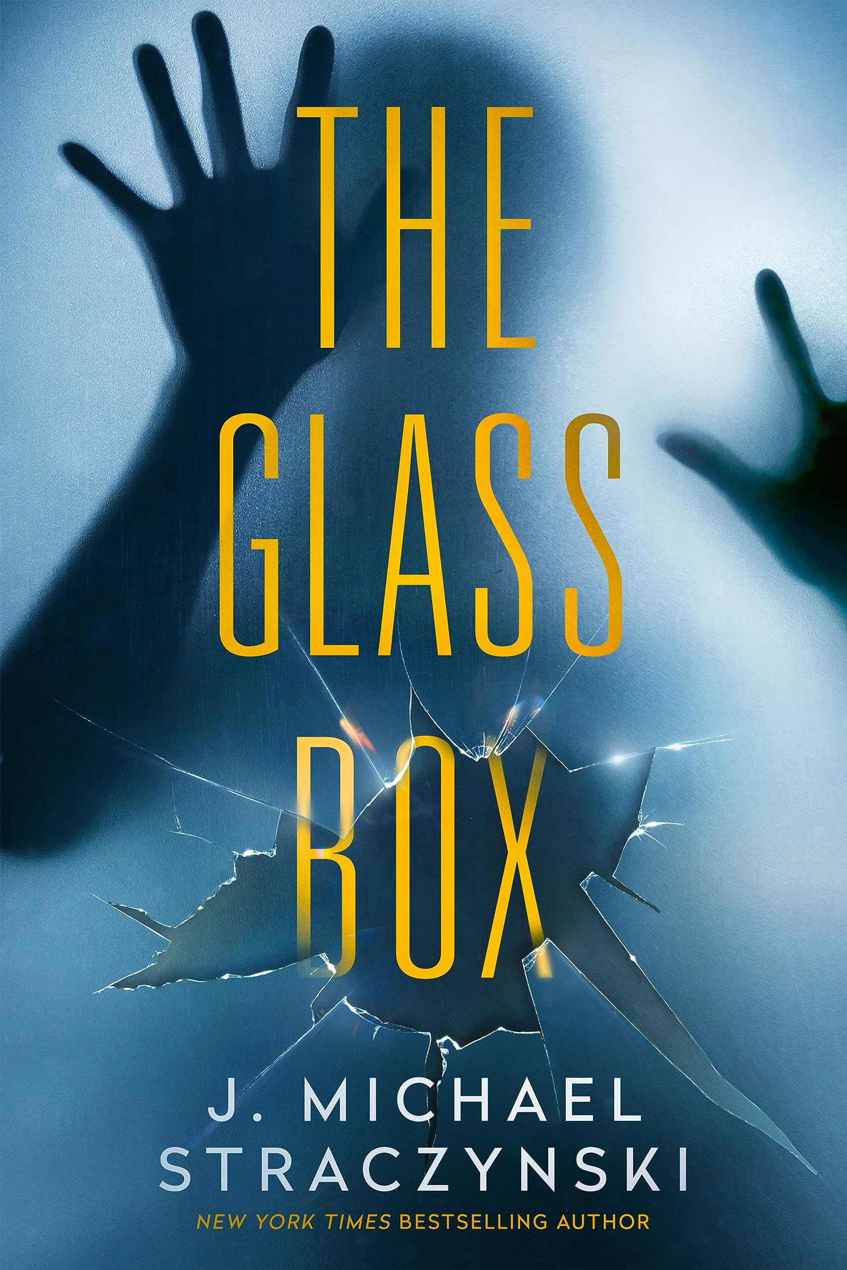 The Glass Box (Hardcover)