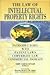 The Law of Intellectual Property Rights by S.S. Singh