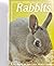 Rabbits