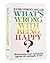 What's wrong with being happy?: Maintaining inner tranquility against the onslaught of life (ArtScroll series)