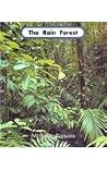 The Rain Forest The Rain Forest