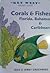 Corals & Fishes: Florida, Bahamas & Caribbean
