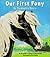 Our First Pony by Marguerite Henry (1997-04-01)
