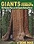 Giants Among the Forests