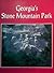 Georgia's Stone Mountain Park by Deborah Yost