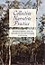 Collective Narrative Practice: Responding to Individuals, Groups and Communities Who Have Experienced Trauma by Denborough, David (December 1, 2008) Paperback
