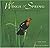 Wings of Spring: Courtship, Nesting, and Fledging by Chuck Hagner (2006-02-17)