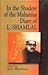 The Veiled Shadow Supernatural Tales From Agra Delhi and Beyond by R.V. Smith