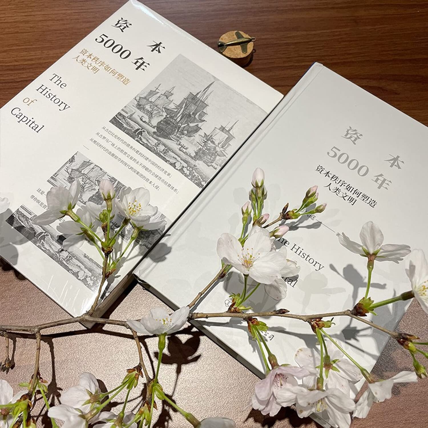 资本5000年：资本秩序如何塑造人类文明 (Paperback)