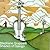 Shades of Django by Grappelli, Stephane by Stephane Grappelli