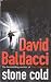 By David Baldacci Stone Cold [Paperback] by David Baldacci