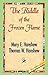 The Riddle of the Frozen Flame by Mary E. Hanshew (2007-06-15)