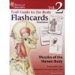 Trail Guide to the Body Flashcards Volume 2: Muscles of the Human Body (Cards)
