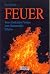 Feuer: Vom zündenden Funken zum flammenden Inferno (German Edition)