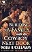 Building a Family with the Cowboy Next Door