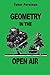 Geometry in the Open Air by Perelman, Yakov (2014) Paperback