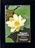 Missouri Wildflowers, A Field Guide to Wildflowers of Missouri and Adjacent Areas