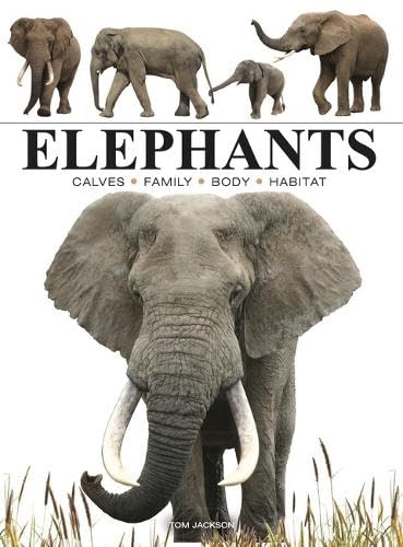 Elephants (Mini Encyclopedia)