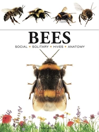 Bees (Mini Encyclopedias)