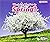 What Can You See in Spring? (Seasons (Heinemann)) by Sian Smith (1-Aug-2014) Paperback
