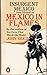 Insurgent Mexico by John   Reed