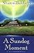 A Sundog Moment by Sharon Baldacci (2004-04-16)