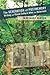 The Generation of Postmemory: Writing and Visual Culture After the Holocaust (Gender and Culture Series) by Marianne Hirsch (2012-07-10)