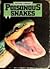 Poisonous Snakes (Picture Library)