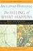 Feeling of What Happens : Body and Emotion in the Making of Consciousness