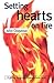 Setting Hearts on Fire: A Guide to Giving Evangelistic Talks by John Chapman (31-Dec-1999) Paperback