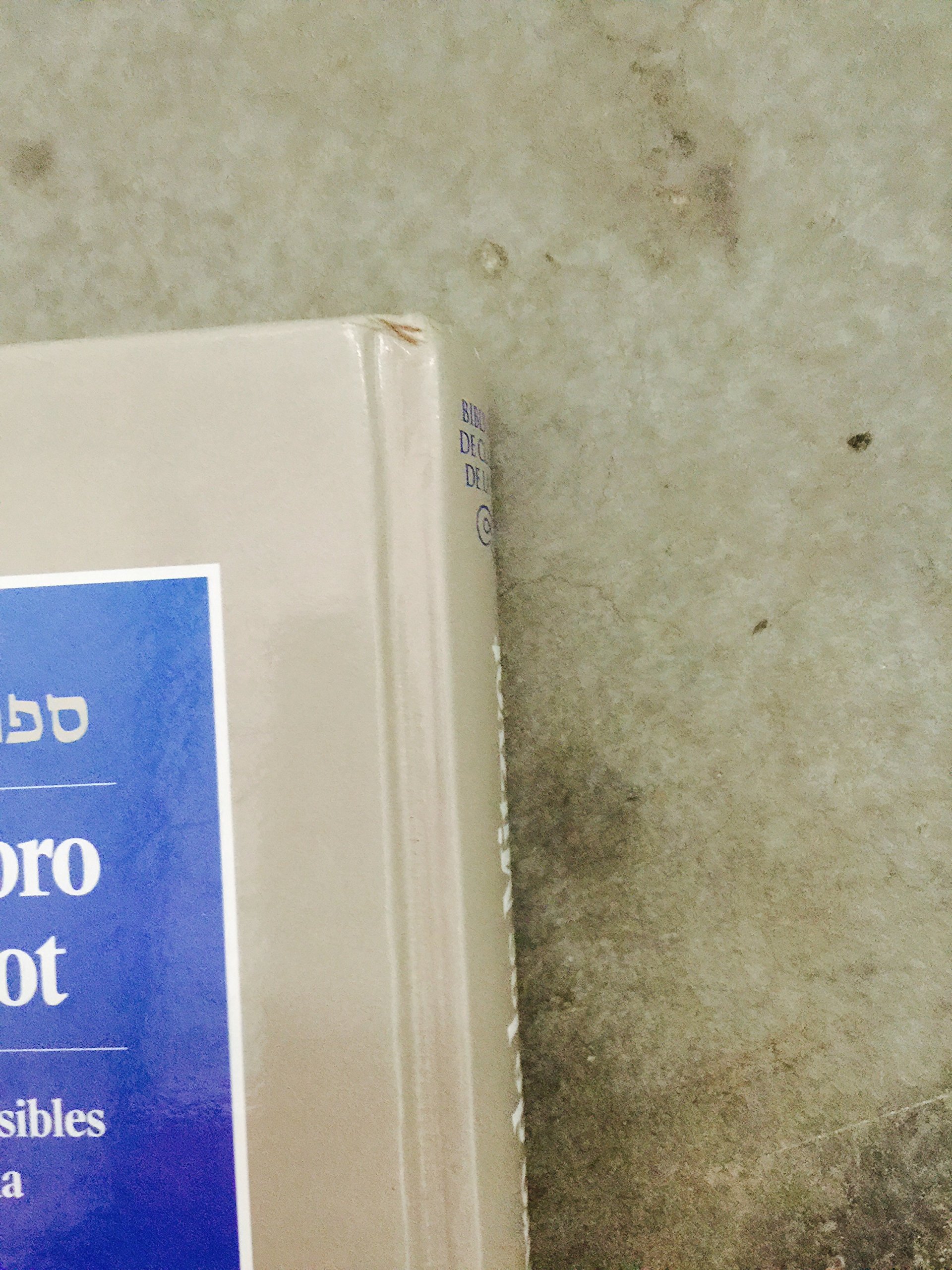 El conciso libro de las mitzvot Los precepto que son posibles (Unknown Binding)