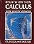 Calculus by Murray H. Prott...