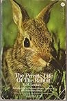 The Private Life of the Rabbit by R.M. Lockley