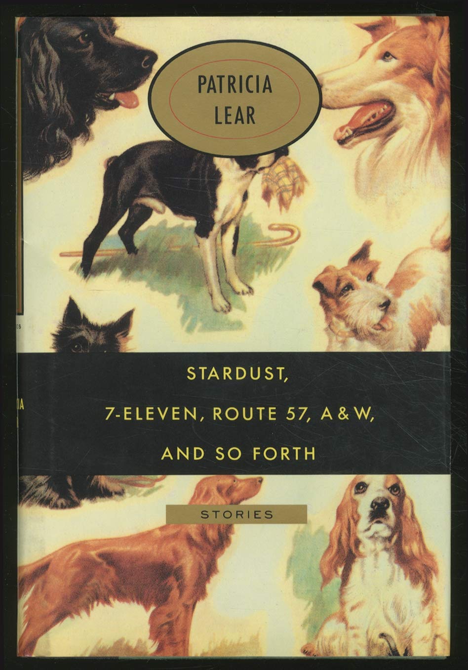 Stardust, 7-Eleven, Route 57, A & W, and So Forth: Stories (Hardcover)
