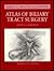 Atlas of Biliary Tract Surgery
