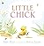 Little Chick by Amy Hest (2010-03-01)