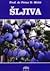 Sljiva