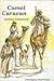 Camel Caravan