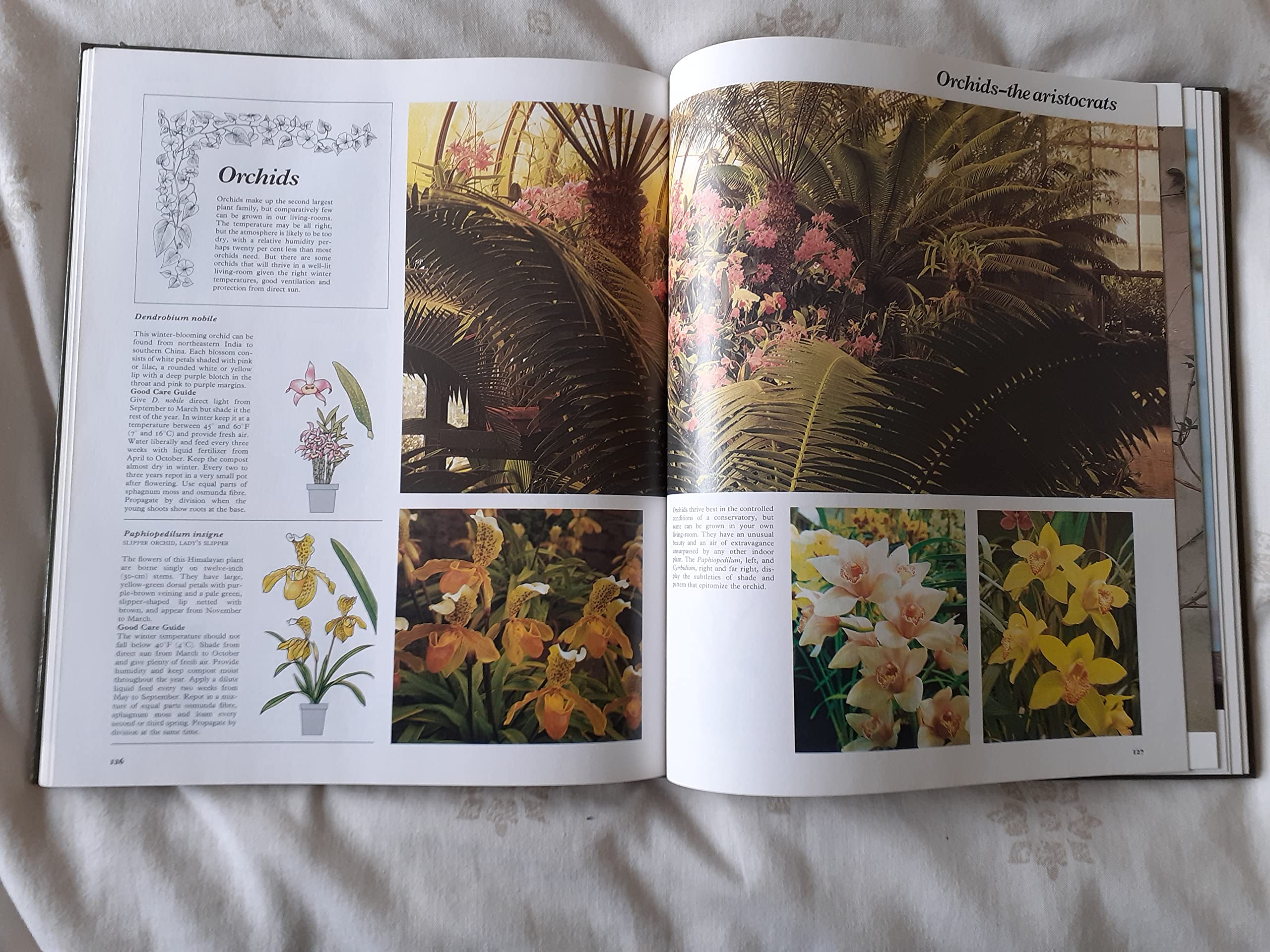 Your Indoor Garden: the comprehensive guide to living with plants (TheJoy of Living Library)